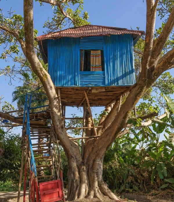 tree house bungalow 巢居（樹屋）：構木為巢，構造來源