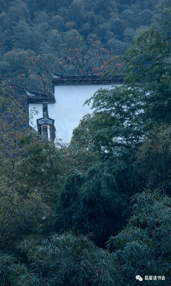 辰星讀書/第235天/掌握話語權