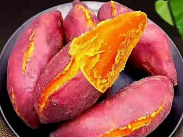 入秋後記得給孩子吃十種健康果蔬，營養豐富價格親民，人人吃得起