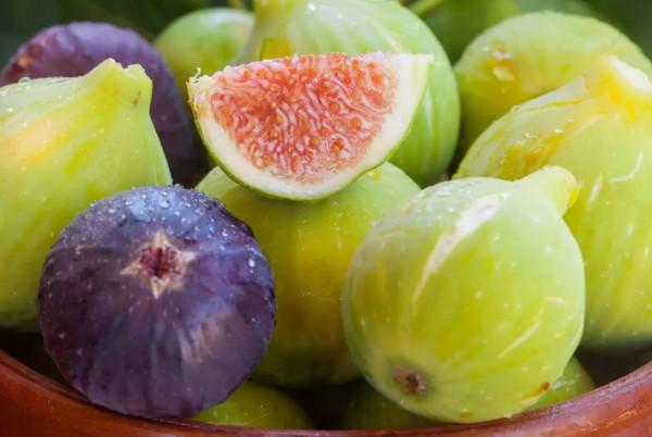 帶有黃體酮的4種食物,過了35歲的女性建議多吃點 帶有黃體酮的4種食物,過了35歲的女性建議多吃點