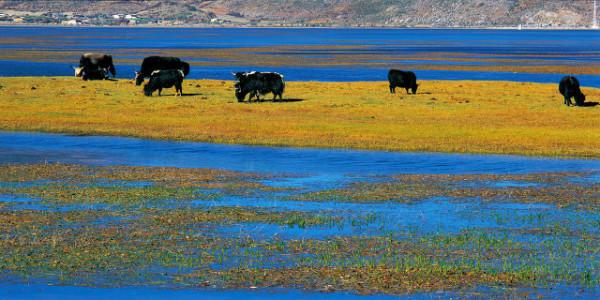 中國20個美豔絕倫的景觀,你去過10個就算旅遊達人啦 中國20個美豔絕倫的景觀,你去過10個就算旅遊達人啦