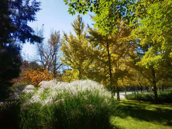 朝陽遊園推薦：北小河公園