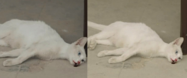 2021年堪稱“劇荒年”:迷霧劇場全軍覆沒,S級大製作頻頻被吐槽 2021年堪稱“劇荒年”:迷霧劇場全軍覆沒,S級大製作頻頻被吐槽