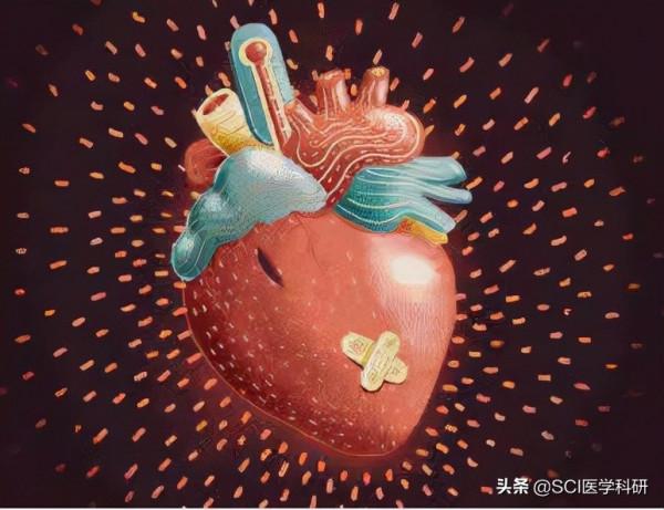 大百科丨掐人中並不適用暈倒患者急救 大百科丨掐人中並不適用暈倒患者急救