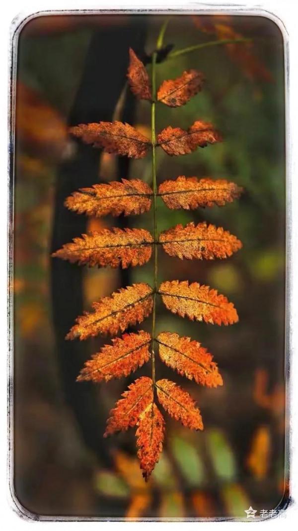 閒人散記二十之:我真的不喜歡這種同事 閒人散記二十之:我真的不喜歡這種同事