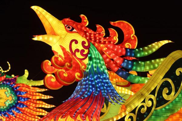 大唐芙蓉園這麼美的花燈，你確定不來嗎？