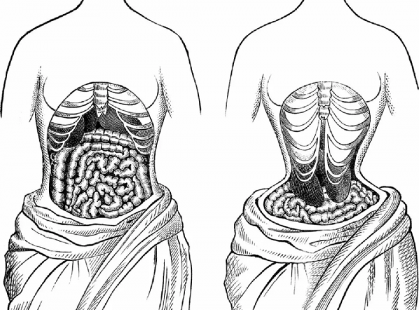 瘦腰塑形、矯正護腰？束腰的作用真的有這麼大嗎？