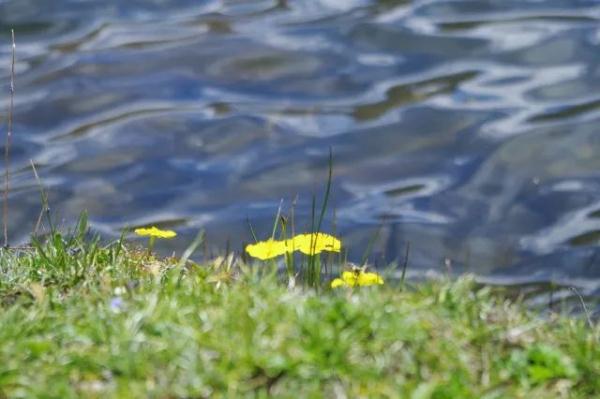 暢享18℃!川西藍色海洋,逃離城市熱浪 暢享18℃!川西藍色海洋,逃離城市熱浪