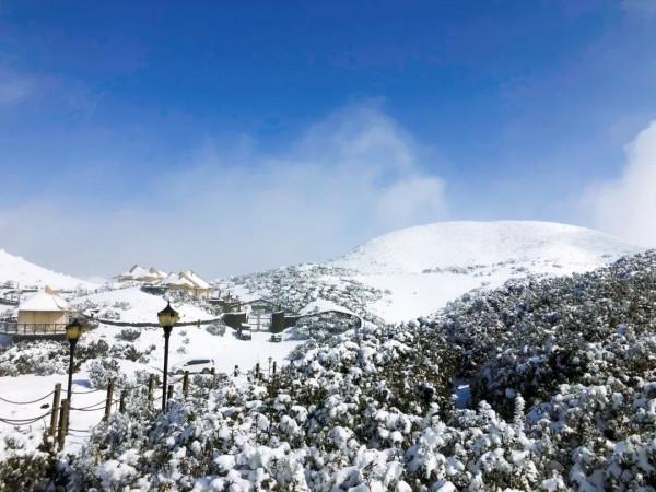 春雪紛飛染冬色 黔地皚皚似北國