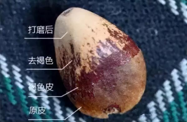 堅果松子,做成手串被賣出17萬 堅果松子,做成手串被賣出17萬