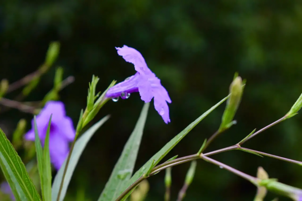 58歲阿姨傾訴：找有6000退休金的老頭搭夥，一年不僅搭錢還出了力