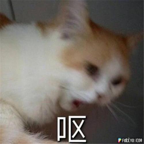 VR 裝置開箱體驗，一起邁向元宇宙