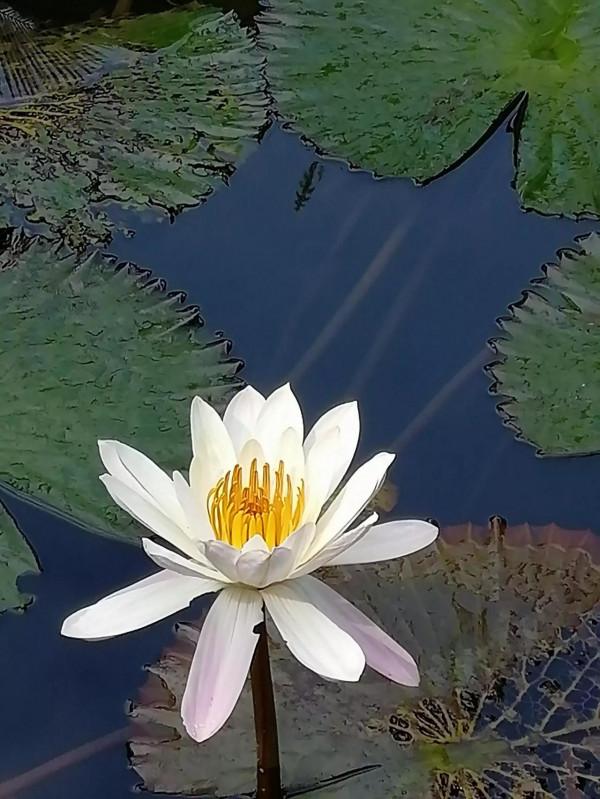 #分享新生活# #分享新生活#
