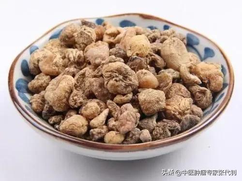 腫瘤患者要記好1味化痰散結的中藥，這是93歲老中醫常用的中藥