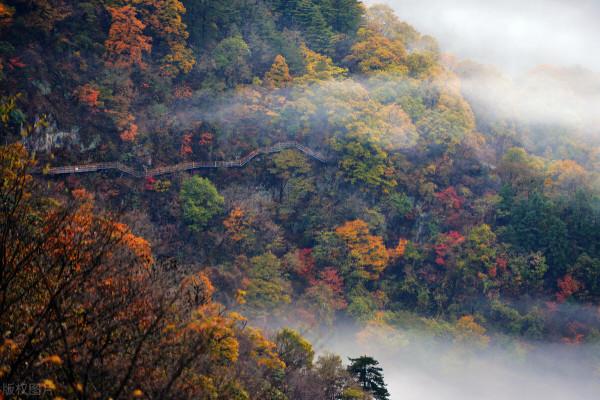 安徽又又又又又紅了 安徽又又又又又紅了