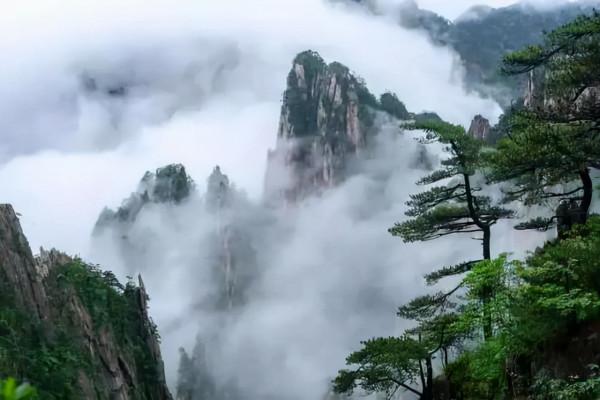 美國遊客到安徽旅遊，看到“黃山”都被圍起來收費！直言看不明白