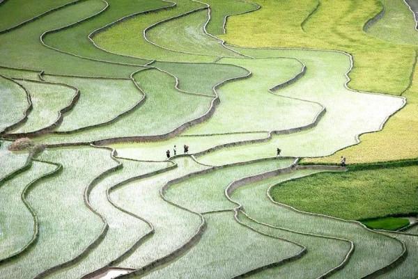 仙境一般的梯田美景，氣勢磅礴壯觀，無與倫比
