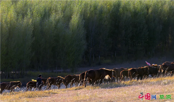 在怪山體驗,秋天的正確開啟方式 在怪山體驗,秋天的正確開啟方式