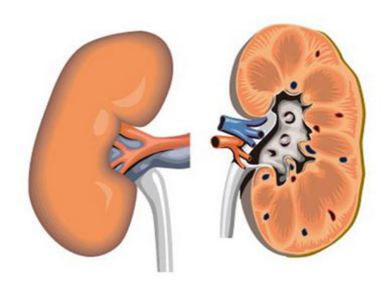43歲男子患尿毒症，依靠透析活命：後悔年輕時太無知，不愛惜身體