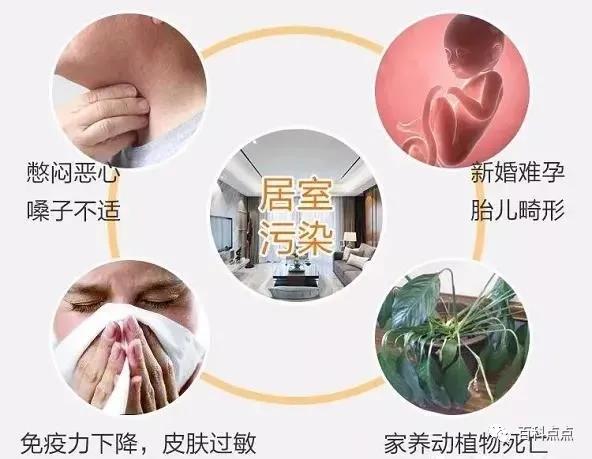 世界居室衛生日｜發現隱秘角落，讓你的小窩更健康