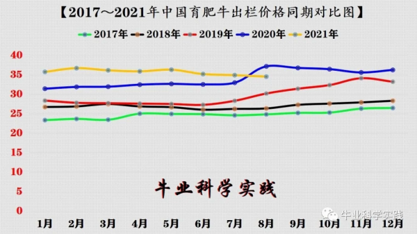 2022年中國肉牛行情走勢分析
