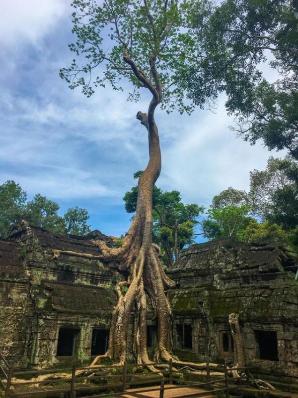 尋找失落的文明，隱蔽在叢林中的古剎，柬埔寨崩密列