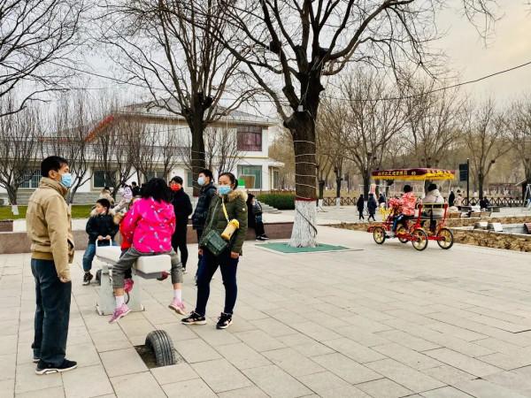 今日元宵丨來園博園賞景團圓兩不誤