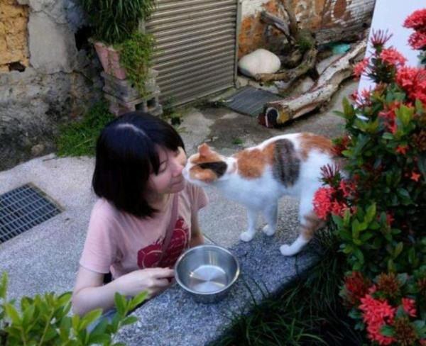 小貓三兄妹相中人類女孩,早晚組隊攔截,結果一家貓全都被收養 小貓三兄妹相中人類女孩,早晚組隊攔截,結果一家貓全都被收養