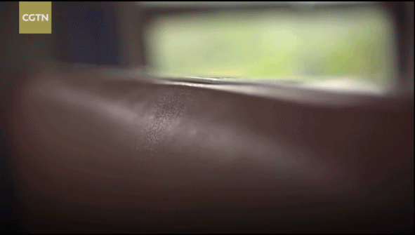 “中國最溫情火車”，1塊錢票價：有人賣菜吆喝，有人畫畫讀書…