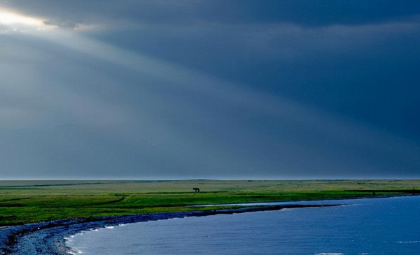 新疆深處的明珠,天鵝常在裡面跳舞,被稱“太平洋最後一滴眼淚” 新疆深處的明珠,天鵝常在裡面跳舞,被稱“太平洋最後一滴眼淚”