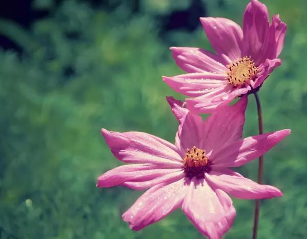 不管你多善良,也不要去扶以下“三種人” 不管你多善良,也不要去扶以下“三種人”