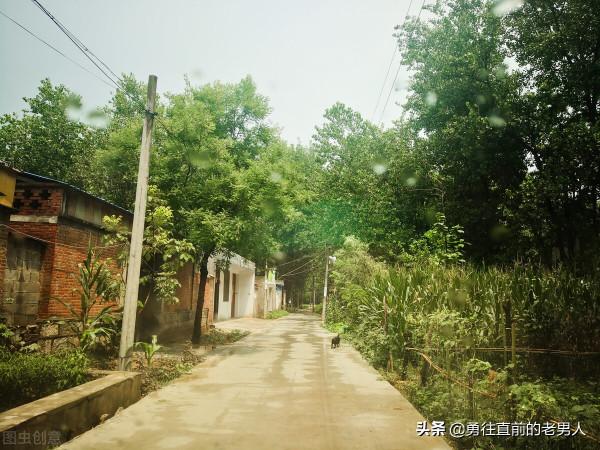 老馬的春天來了