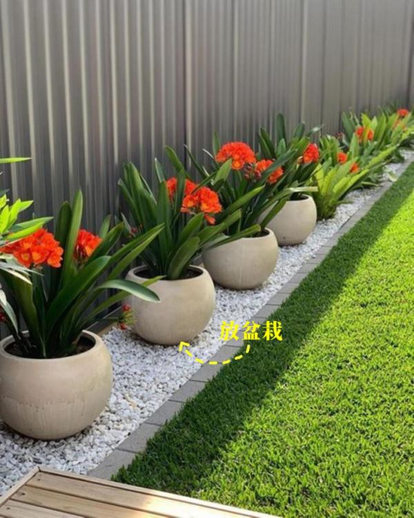 沿著院子圍牆，砌一圈花圃，40公分高低成本容易打理，養養花足矣