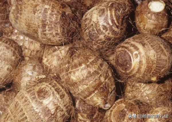 外酥裡嫩的香芋烤鴨腿,營養味美,葷素搭配,家中孩子特愛吃 外酥裡嫩的香芋烤鴨腿,營養味美,葷素搭配,家中孩子特愛吃