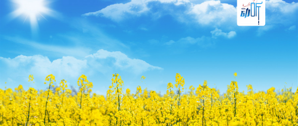 夜讀丨愛自己的四句悄悄話