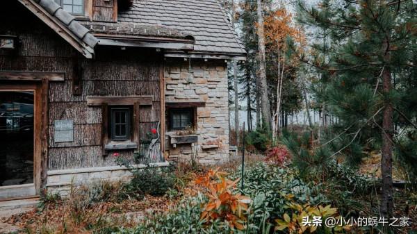 夫妻兩個把半島叢林中的木屋變為夢幻之地 夫妻兩個把半島叢林中的木屋變為夢幻之地