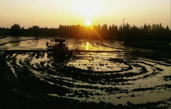 健康生活，來自良好的自律