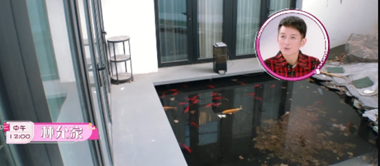 一把菜刀60萬，一雙日常鞋80萬，明星們的生活到底有多奢侈？