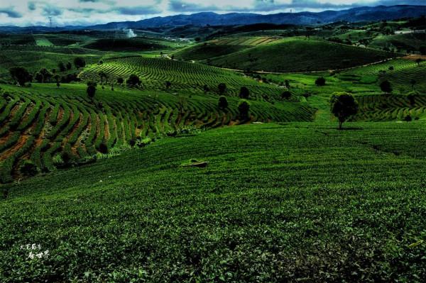 西雙版納夏天很熱嗎？其實那裡有個地方，是夏無酷暑冬無嚴寒之地