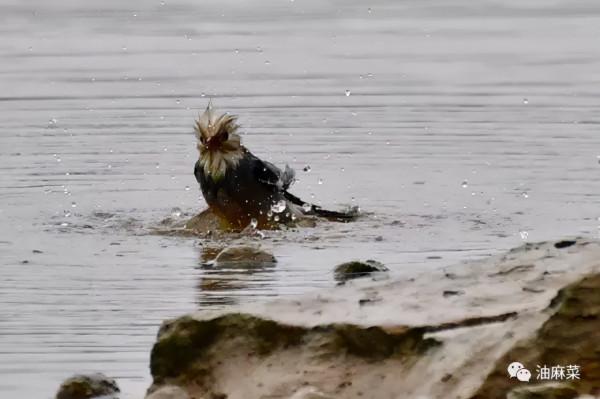 那些看似無聊的等待