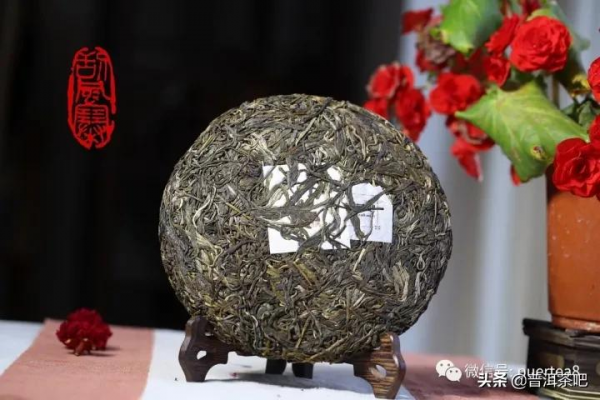 「乾貨分享」詳解易武颳風寨普洱茶