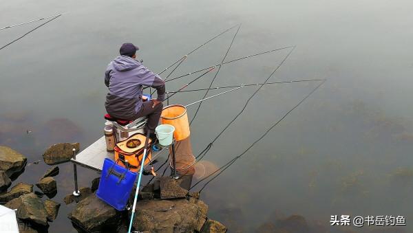 春釣腥餌就算上魚，卻永遠釣不多！釣友：香餌配方才是春釣天花板