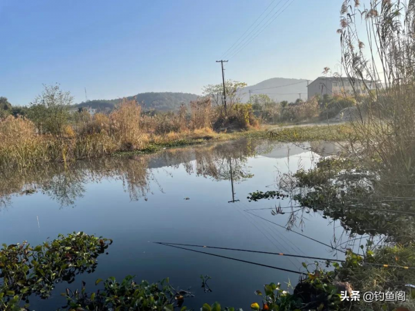 魚起浮曬太陽不咬鉤？換餌、換漂都不是好辦法，別瞎折騰