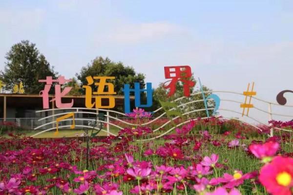 花語世界門票不限量免費送!金秋國潮花海強勢來襲!五大方式免門票! 花語世界門票不限量免費送!金秋國潮花海強勢來襲!五大方式免門票!