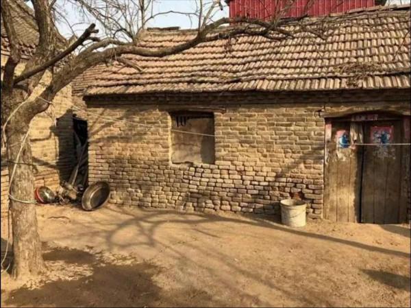 讀餘秀華的小詩《只有這樣才是誠懇的》