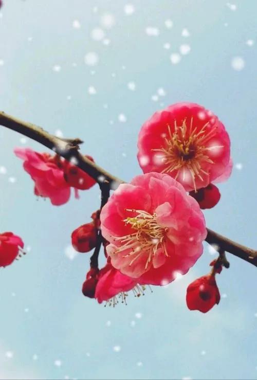 文化對藝術的叮囑