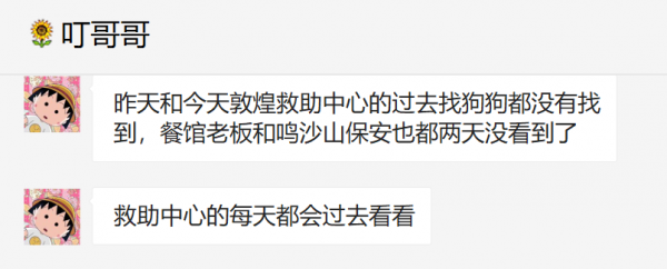 這隻小狗在敦煌，等了你整整兩年