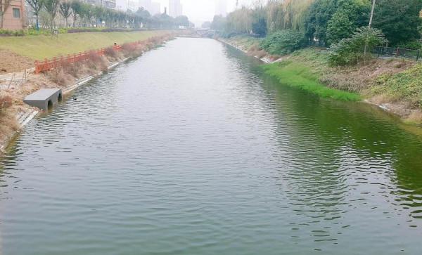 我家附近的風景也很美 我家附近的風景也很美