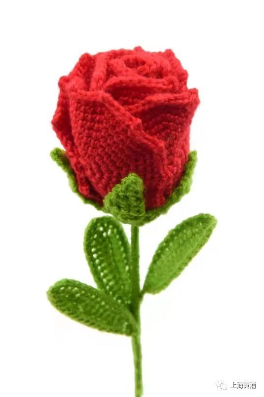 “永不凋謝”的北京冬奧會頒獎花束，出自這個黃浦奶奶之手