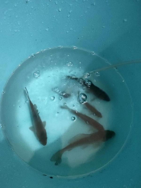 中秋節，咋過啊？大家